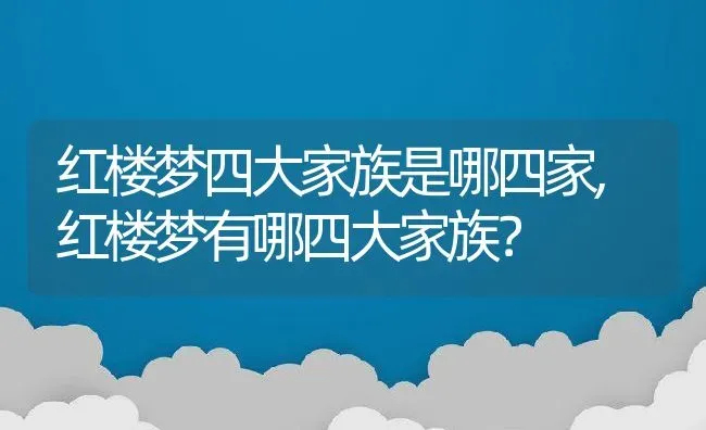 红楼梦四大家族是哪四家,红楼梦有哪四大家族？ | 养殖科普