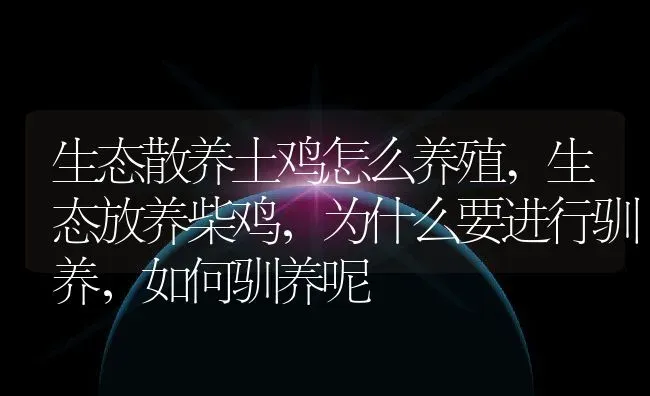 生态散养土鸡怎么养殖,生态放养柴鸡，为什么要进行驯养，如何驯养呢 | 养殖学堂