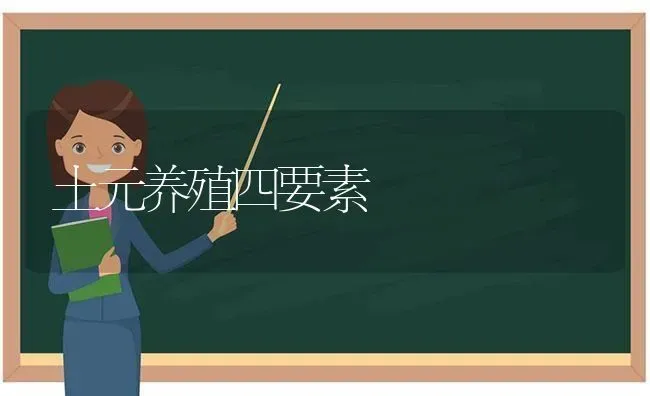 土元养殖四要素 | 养殖知识