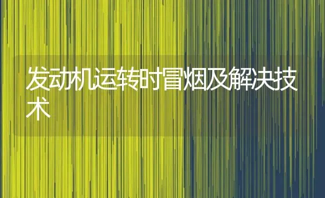 发动机运转时冒烟及解决技术 | 养殖技术大全