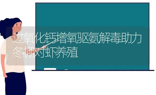 过氧化钙增氧驱氨解毒助力冬棚对虾养殖 | 养殖技术大全