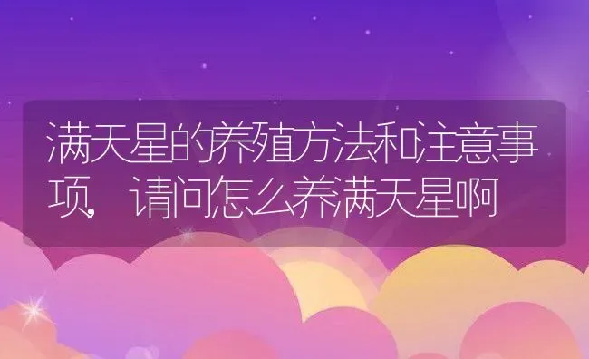 满天星的养殖方法和注意事项,请问怎么养满天星啊 | 养殖学堂