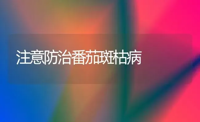 注意防治番茄斑枯病 | 养殖知识