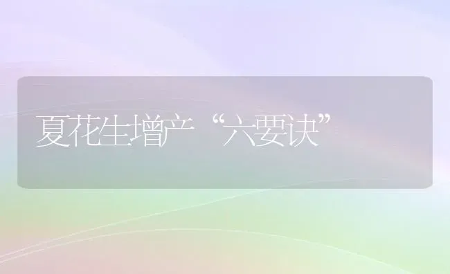 夏花生增产“六要诀” | 养殖技术大全