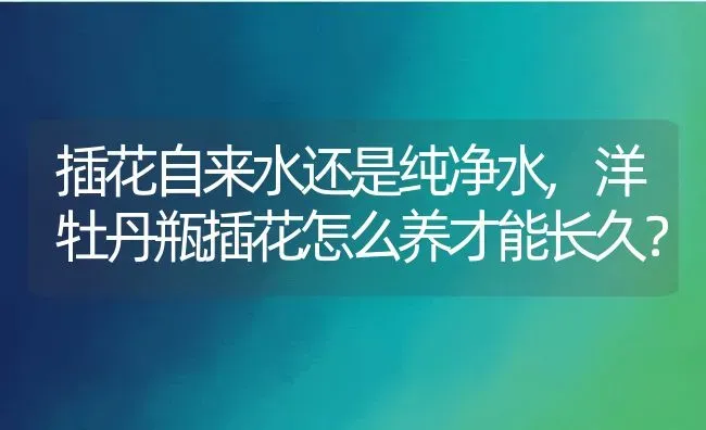 家里养迎客松的风水禁忌摆放位置讲究,别墅门口迎客松有讲究吗？ | 养殖科普