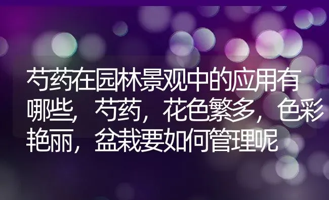 芍药在园林景观中的应用有哪些,芍药，花色繁多，色彩艳丽，盆栽要如何管理呢 | 养殖学堂