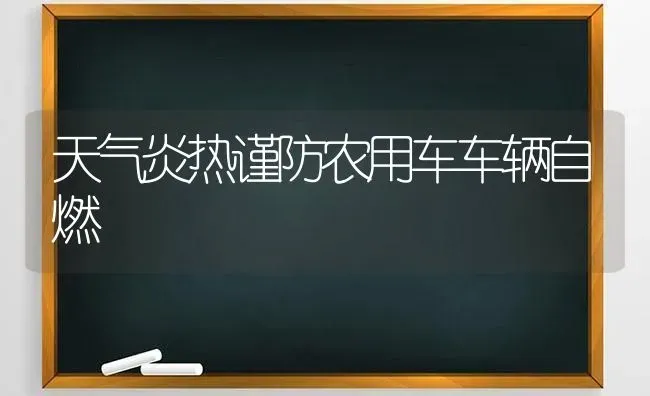 天气炎热谨防农用车车辆自燃 | 养殖知识