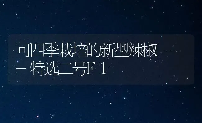 可四季栽培的新型辣椒---特选二号F1 | 养殖技术大全