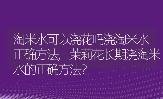 淘米水可以浇花吗浇淘米水正确方法,茉莉花长期浇淘米水的正确方法？ | 养殖科普