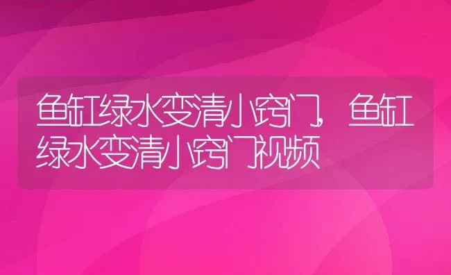 鱼缸绿水变清小窍门,鱼缸绿水变清小窍门视频 | 养殖资料