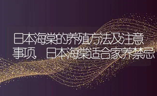 日本海棠的养殖方法及注意事项,日本海棠适合家养禁忌 | 养殖学堂