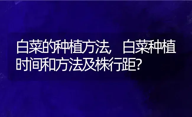 白菜的种植方法,白菜种植时间和方法及株行距？ | 养殖科普