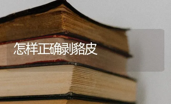 怎样正确剥貉皮 | 养殖知识