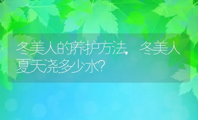 冬美人的养护方法,冬美人夏天浇多少水？ | 养殖科普