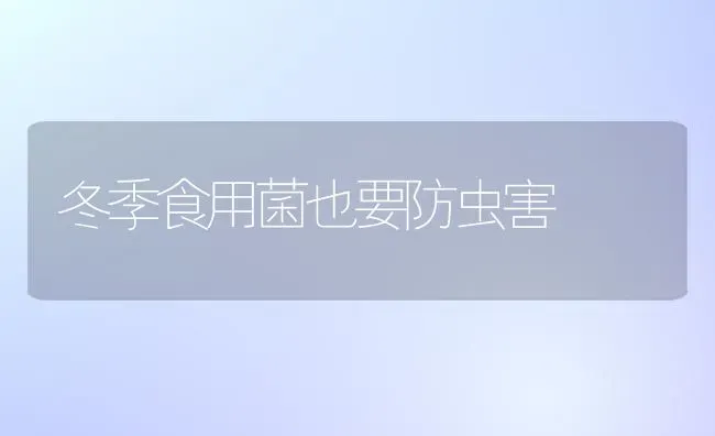 冬季食用菌也要防虫害 | 养殖技术大全