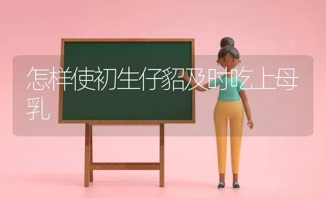 怎样使初生仔貂及时吃上母乳 | 养殖知识