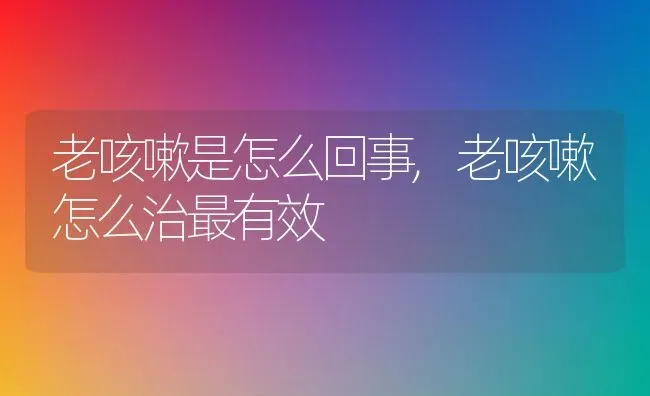老咳嗽是怎么回事,老咳嗽怎么治最有效 | 养殖科普
