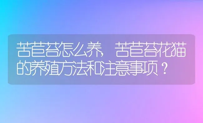 苦苣苔怎么养,苦苣苔花猫的养殖方法和注意事项？ | 养殖科普