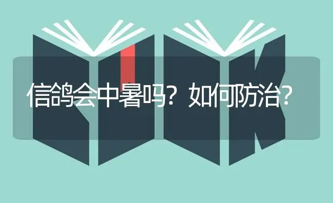 信鸽会中暑吗?如何防治? | 养殖技术大全