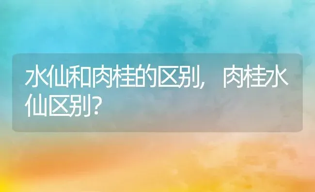 水仙和肉桂的区别,肉桂水仙区别？ | 养殖科普