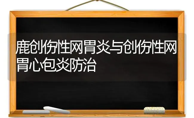 鹿创伤性网胃炎与创伤性网胃心包炎防治 | 养殖技术大全