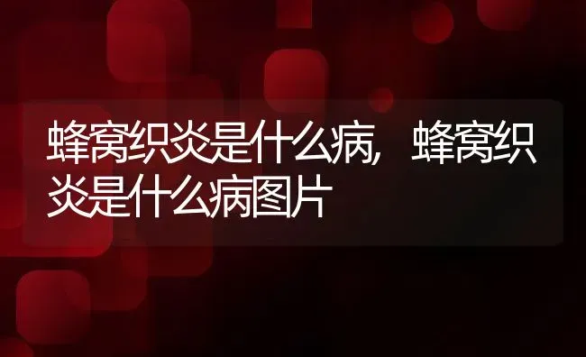 蜂窝织炎是什么病,蜂窝织炎是什么病图片 | 养殖资料