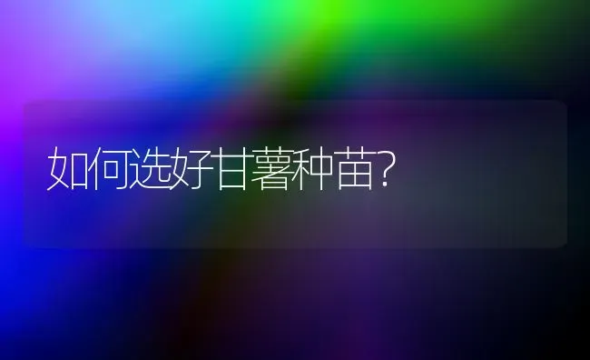 如何选好甘薯种苗? | 养殖技术大全