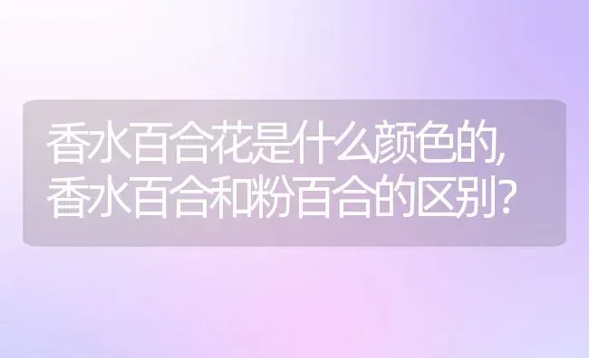 香水百合花是什么颜色的,香水百合和粉百合的区别？ | 养殖科普