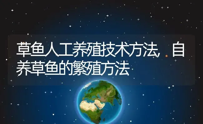 草鱼人工养殖技术方法,自养草鱼的繁殖方法 | 养殖学堂