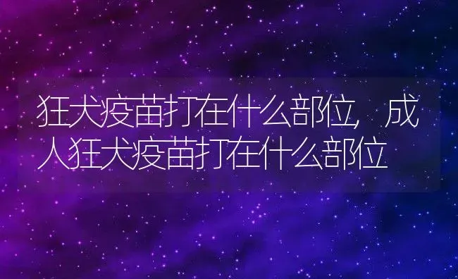 狂犬疫苗打在什么部位,成人狂犬疫苗打在什么部位 | 养殖科普