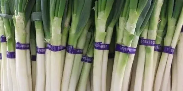 秋季大葱种植时间技巧 | 三农知识