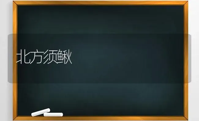 北方须鳅 | 养殖技术大全