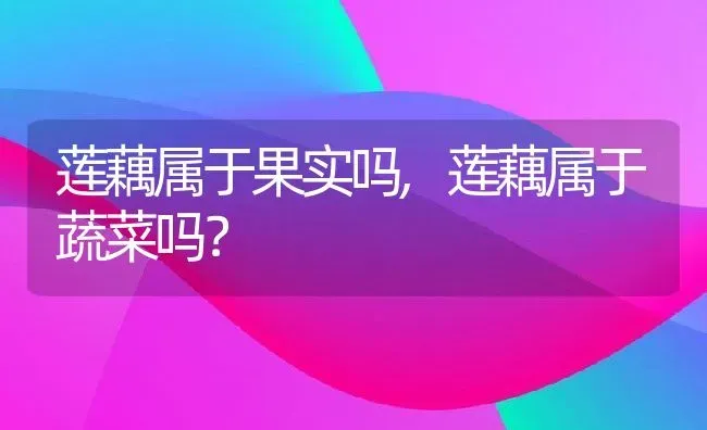 莲藕属于果实吗,莲藕属于蔬菜吗？ | 养殖科普