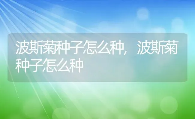 波斯菊种子怎么种,波斯菊种子怎么种 | 养殖科普