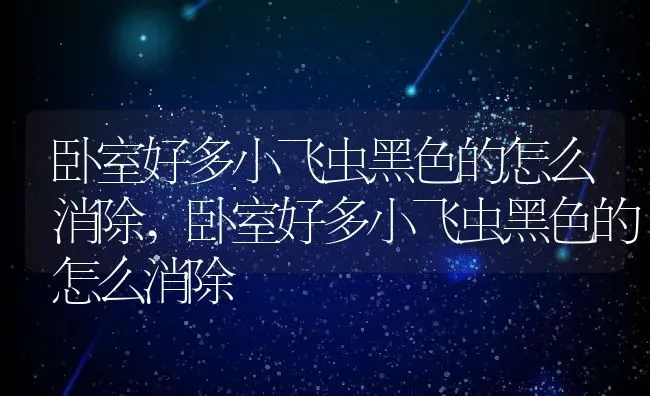 卧室好多小飞虫黑色的怎么消除,卧室好多小飞虫黑色的怎么消除 | 养殖科普