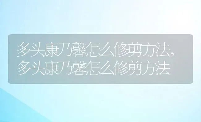 多头康乃馨怎么修剪方法,多头康乃馨怎么修剪方法 | 养殖科普