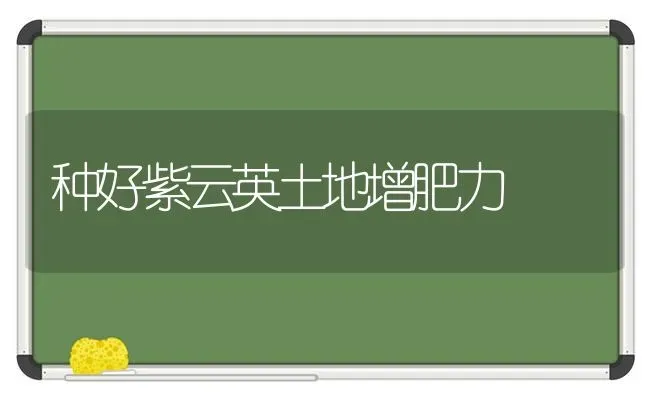 种好紫云英土地增肥力 | 养殖知识