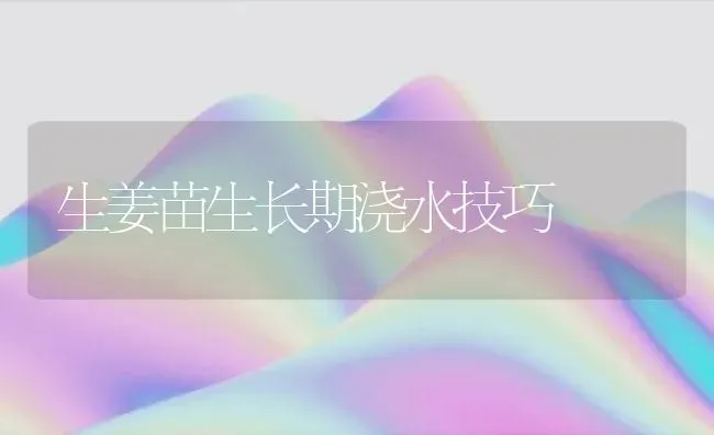 生姜苗生长期浇水技巧 | 养殖知识