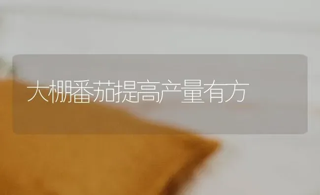 大棚番茄提高产量有方 | 养殖知识