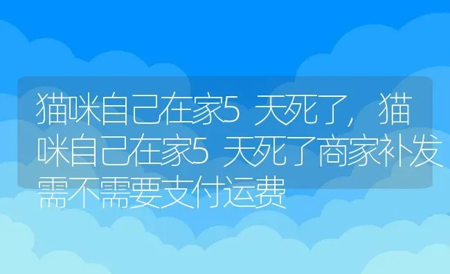 猫咪自己在家5天死了,猫咪自己在家5天死了商家补发需不需要支付运费 | 养殖科普