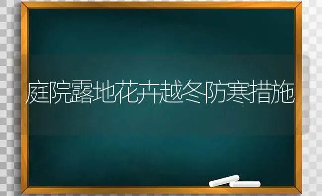 庭院露地花卉越冬防寒措施 | 养殖技术大全