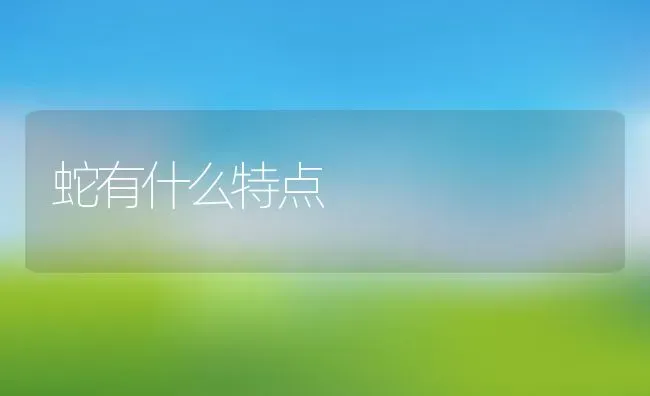 蛇有什么特点 | 养殖资料