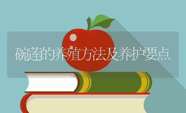 碗莲的养殖方法及养护要点 | 养殖学堂