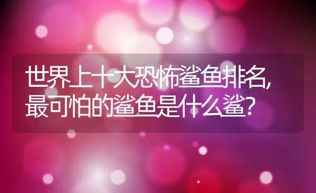 世界上十大恐怖鲨鱼排名,最可怕的鲨鱼是什么鲨？ | 养殖科普