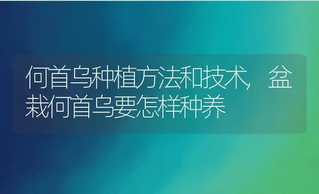 何首乌种植方法和技术,盆栽何首乌要怎样种养 | 养殖学堂