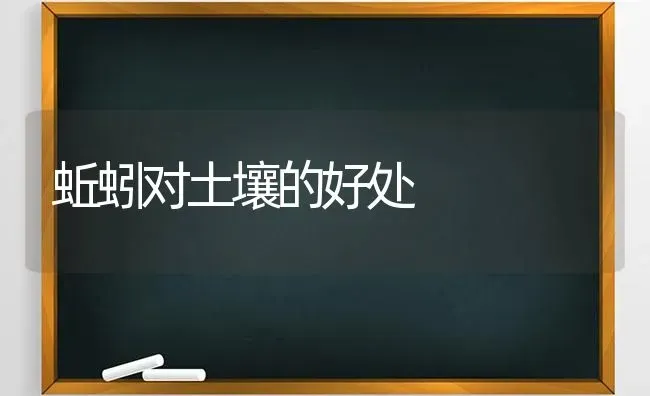 蚯蚓对土壤的好处 | 养殖知识