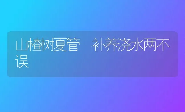 山楂树夏管 补养浇水两不误 | 养殖技术大全