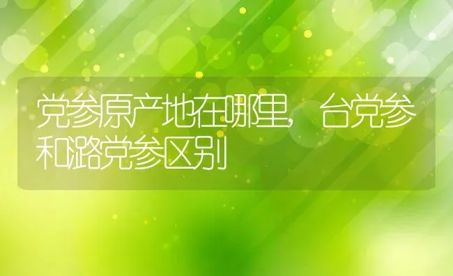 党参原产地在哪里,台党参和潞党参区别 | 养殖学堂