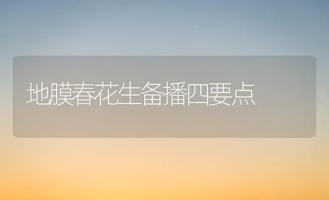 地膜春花生备播四要点 | 养殖技术大全