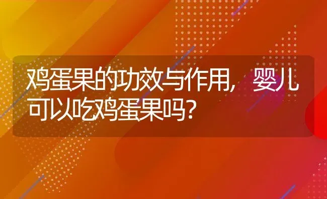 鸡蛋果的功效与作用,婴儿可以吃鸡蛋果吗？ | 养殖科普